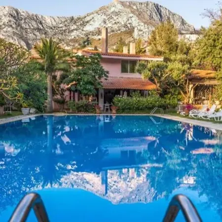 Paradise Palermo