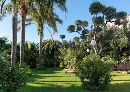 Apartment Paradise