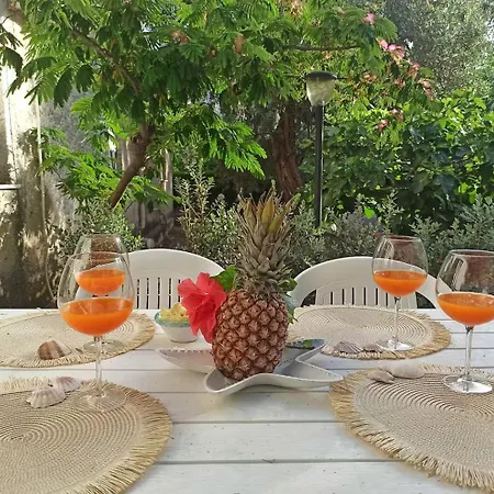 Paradise Apartment