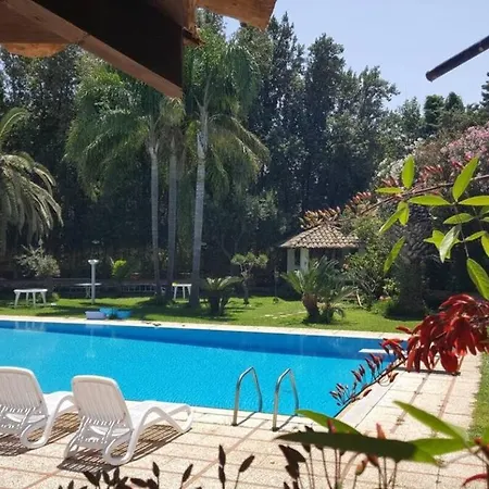 Paradise *